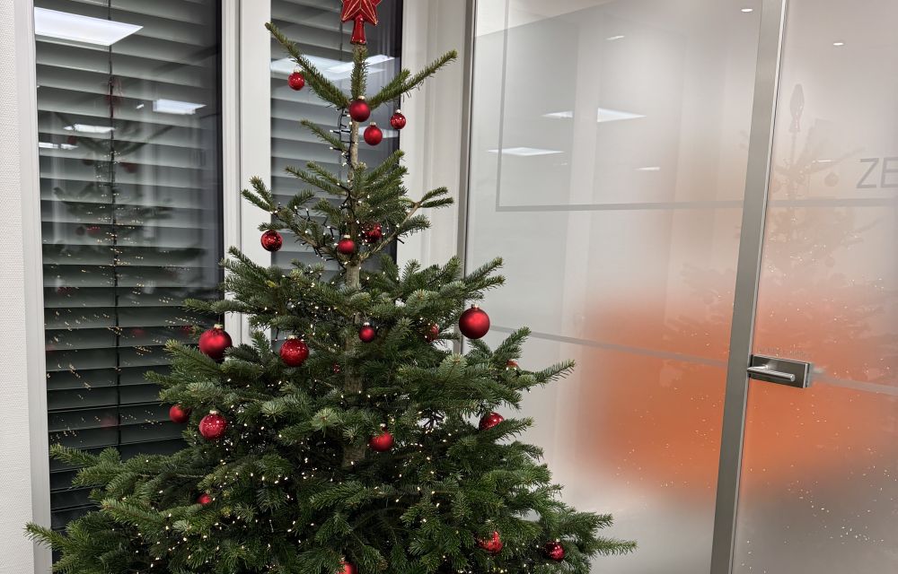 Unser Weihnachtsbaum in der Praxis