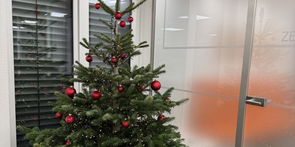Unser Weihnachtsbaum in der Praxis